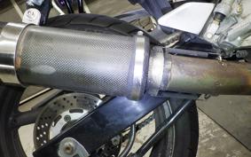 SUZUKI GOOSE 250 NJ46A