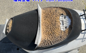 HONDA DIO