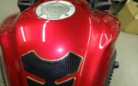 YAMAHA FZ1 FAZER 2009 RN21J