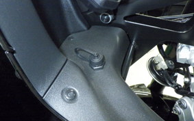 YAMAHA XSR900 GP 2025 RN96J