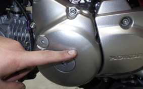 HONDA MONKEY 125 2025 JB02