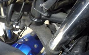 KAWASAKI NINJA 250 ABS EX250L