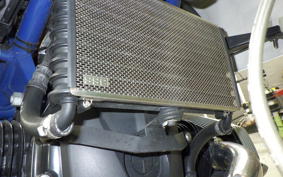 BMW HP2 MEGAMOTO 2009