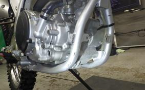 YAMAHA WR250R 2015 DG15J