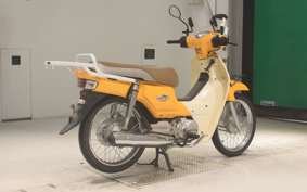 HONDA C110 SUPER CUB
