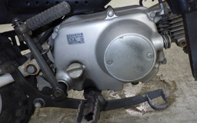 HONDA MONKEY BAJA 2015 Z50J