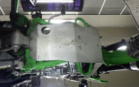 KAWASAKI KLX250 Gen.2 LX250S