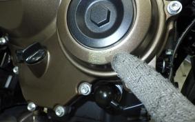 HONDA CB650R E-Clutch 2025 RH17