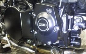 KAWASAKI Z900RS 2024 ZR900K