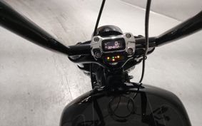 HARLEY FXBRS1870 2021 YHK