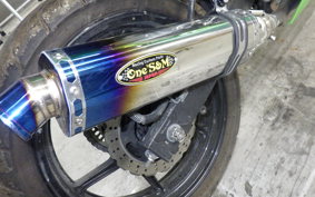 KAWASAKI NINJA 250R EX250K