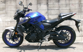 YAMAHA MT-25 ABS RG43J