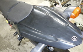 YAMAHA WR250X 2009 DG15J