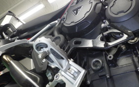 TRIUMPH TIGER 900 GT PRO 2024