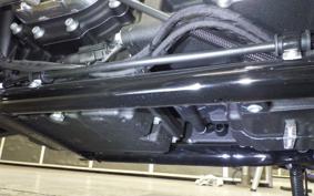 HARLEY FXST1750 2025