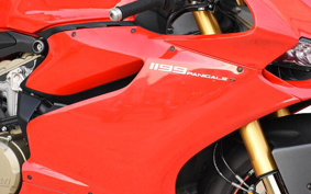 DUCATI 1199 PANIGALE S H802J