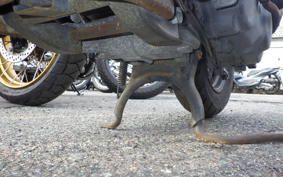 SUZUKI LET's 4 CA45A