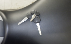 YAMAHA YZF-R25 2016 RG43J