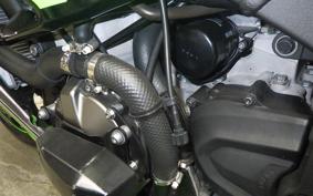 KAWASAKI NINJA ZX-6R A 2021 ZX636G