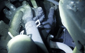 HONDA TACT-4ﾍﾞｰｼｯｸ AF79