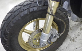 HONDA ZOOMER 2025 AF58