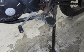 HONDA CRF150L 2023