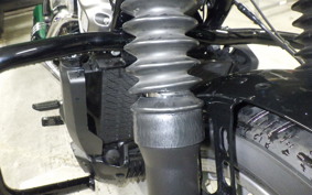 HARLEY RH975S 2024