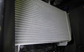 YAMAHA YZF-R25 A RG43J