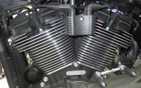 HARLEY FXLRS1920 2024
