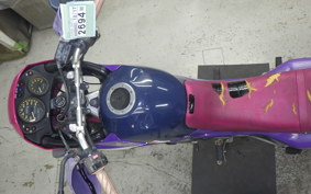 KAWASAKI KLE250