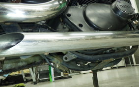 YAMAHA VIRAGO 250 2025 3DM