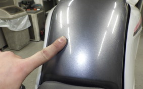 HONDA VT250FG 2022 MC15