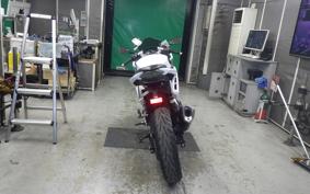 KAWASAKI NINJA 300 2013