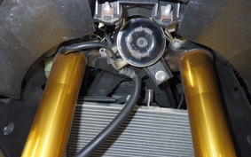 YAMAHA YZF-R25 2011 RG43J