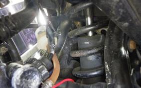 YAMAHA DT50 2025 17W