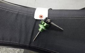 KAWASAKI KLX250D TRACKER X 2021 LX250V