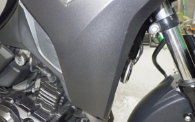 SUZUKI V-STROM 250