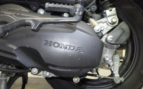 HONDA DUNK 2005 AF78
