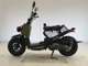 Фото Honda ZOOMER 2011 с японского аукциона