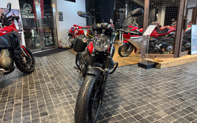MOTO GUZZI MOTO GUZZI V7 STONE 2019 ZGULW