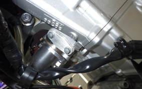 YAMAHA WR250X DG15J