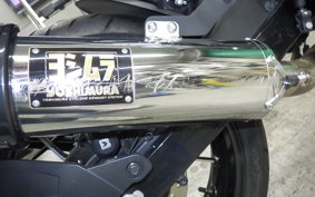 SUZUKI GIXXER 250 2021 ED22B