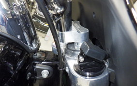 HARLEY FLSB 1750 2024