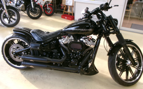 HARLEY FXBRS 2021 YHK