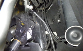 HONDA PCX 150 2008 KF18