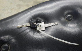 YAMAHA VIRAGO 250 2023 3DM