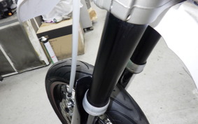 YAMAHA WR250X 2021 DG15J