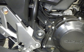 SUZUKI Vｽﾄﾛｰﾑ250