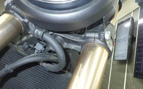 HONDA CB250R 2024 MC52