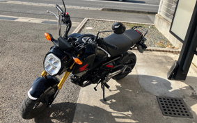 HONDA GROM JC92
